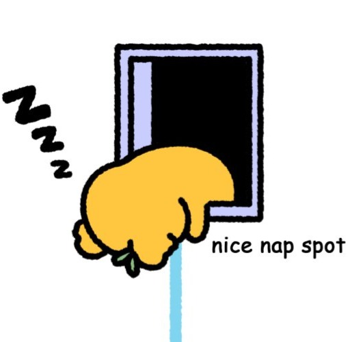 nice nap spot